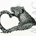 leopard-black-white-drawing-illustration