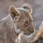 peinture-realiste-lionceaux