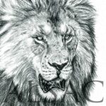lion-portrait-black-white-art