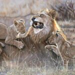 Famille-lion-peinture-art-animalier