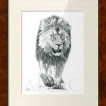lion-sketch-illustration-drawing-wildlife-art