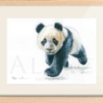 litho-dessin-bebe-panda-cadeau-chambre-enfant