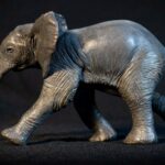 modelage-sculpture-elephanteau-bronze