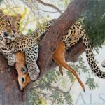 mon-precieux-tableau-peinture-leopard-arbre-proie
