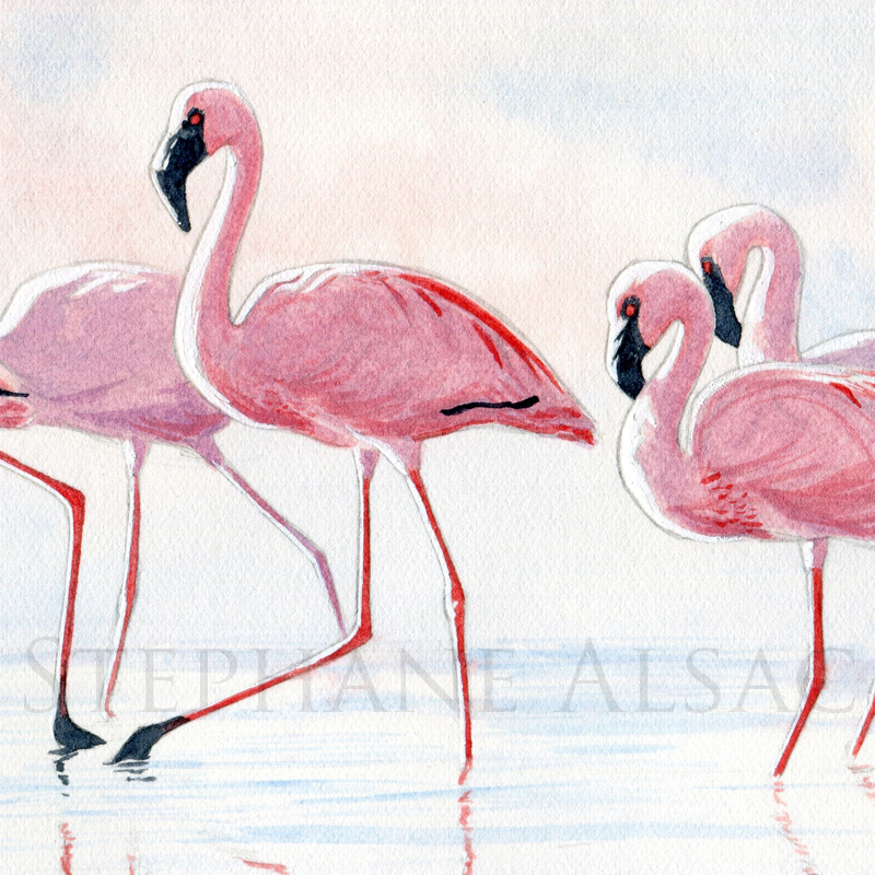 nakuru-flamingos-aquarelle-flamands-detail