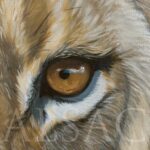 lion-eye-detail-oil-painting