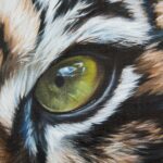 oeil-tigre-peinture-hyper-realisme