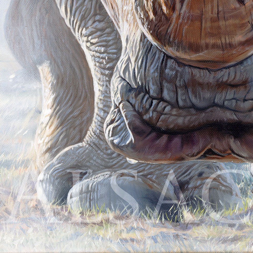 oil-painting-african-animal-rhino-dust-rage