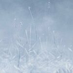 oil-painting-winter-grass