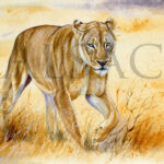 painting-Lioness-on-the-move-detail