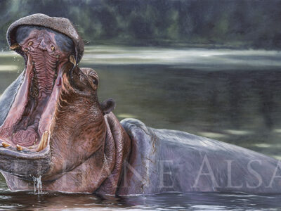 painting-hippo-hyper-realistic