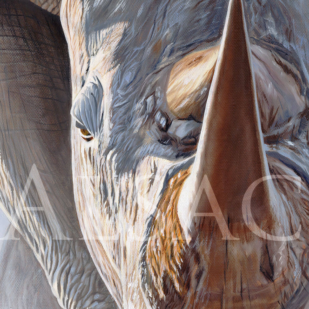 painting-rhinoceros-hyper-realism-dust-rage-charge