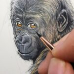 peindre-bebe-gorille-aquarelle-dessin