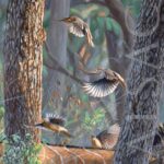 wildlife-art-painting-african-antelope-oxpecker