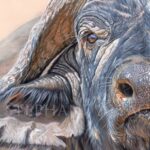 peinture-animaux-sauvage-hyper-realiste-buffle-afrique