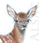 painting-watercolour-baby-deer-cute