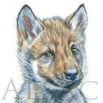painting-watercolour-baby-wolf-cute