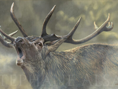 bellow-stag-deer-painting-realistic