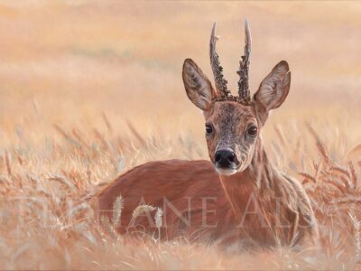 Painting-roe-deer-summer