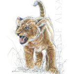 peinture-croquis-bebe-lion-aquarelle