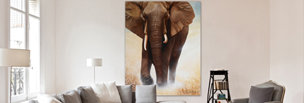 painting elephant decoration