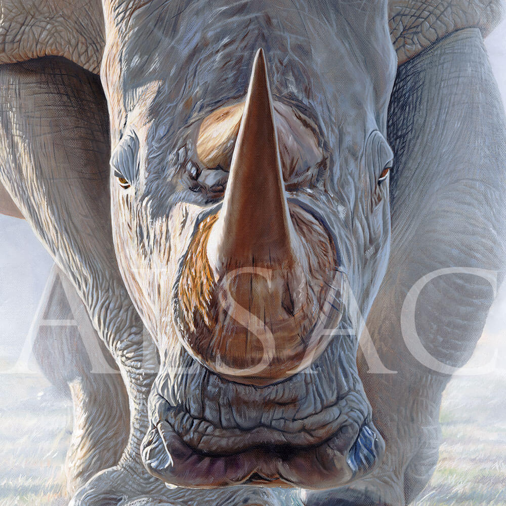 peinture-rhino-realiste-detail-Dust-Rage