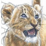 peinture-tableau-bebe-lion-artiste-animalier