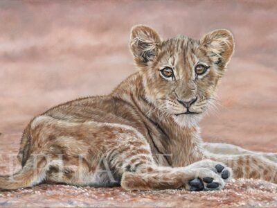 painting-lion-cub-Stephan-Alsac