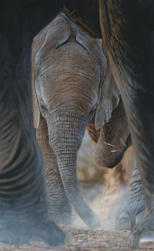 peinture-tableau-toile-bebe-elephant