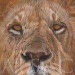 peinture-yeux-lion-realiste-tableau-animaux