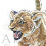 portrait-lionceau-dessin-illustration-artiste-animalier