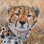 portrait-peinture-tableau-guepard-realiste