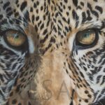 gaze-leopard-realistic-painting-wildlife-art