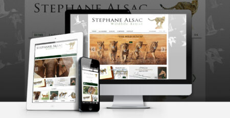 site web stephane Alsac