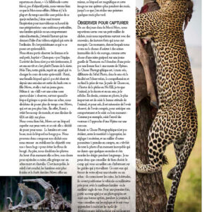 safari-photo-afrique-leopard-kenya