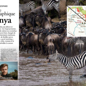 safari-photo-afrique-prive-accompagne-guide
