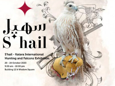 s'hail-katara-hunting-falconry-artist-alsac