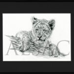 sketch-baby-lion-cub-big-cat-art