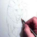 sketch-in-progress-lion-how-to-draw