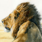 solitary-man-peinture-lion-detail2
