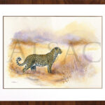 staring-leopard-painting-framed