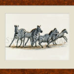 striped-rush-watercolor-zebra-framed