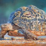tableau-animaux-peinture-tortue-peintre-animalier-stephane-alsac