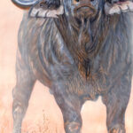 painting-cape-buffalo-realistic-art-stephan-alsac