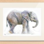 tableau-dessin-aquarelle-petit-elephant-deco
