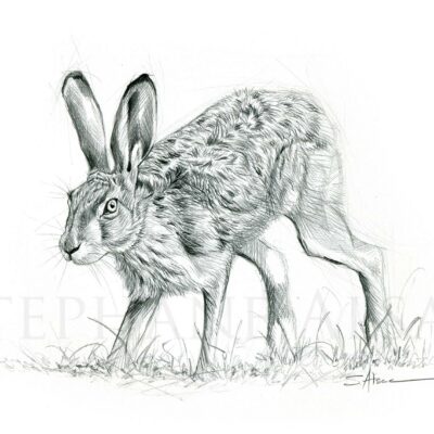 painting-sketch-print-hare-hunting-gift