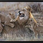 tableau-felins-famille-lion-lionceaux-artiste-contemporain-stephane-alsac
