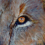 tableau-oeil-lion-realiste