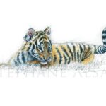 tableau-peinture-aquarelle-bebe-tigre-artiste-animaux