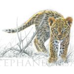 tableau-peinture-bebe-leopard-aquarelle-art-animaux